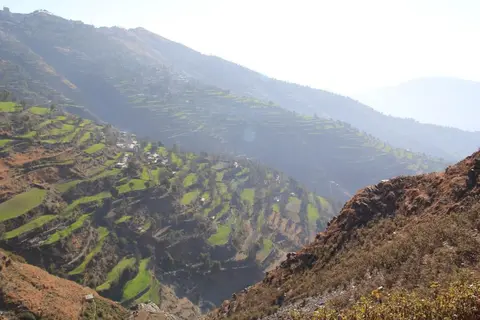 sirmaur fields scene