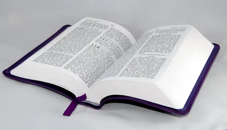 Sirmauri ladhu bible